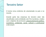 Empresas do Terceiro Setor no Brasil (5)