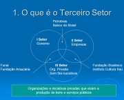 Empresas do Terceiro Setor no Brasil (12)