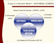 Empresas do Terceiro Setor no Brasil (13)