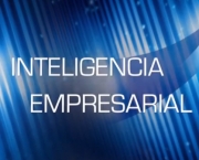 Inteligência Empresarial (2)