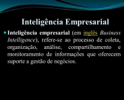 Inteligência Empresarial (3)