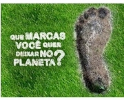 Campanha Publicitária da WWF Brasil (1)