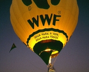 Campanha Publicitária da WWF Brasil (3)