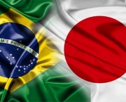 Diferenças Econômicas entre Brasil e Japão (6)
