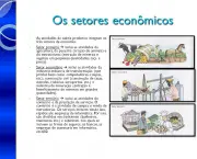 Diferentes Setores da Economia (1)