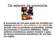 Diferentes Setores da Economia (4)