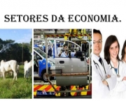 Diferentes Setores da Economia (5)