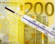 Euro money and a thermometer