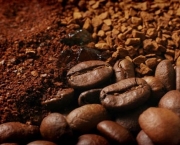 Economia Cafeeira (5)
