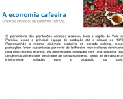 Economia Cafeeira (8)
