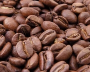 Economia Cafeeira (10)