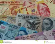http://www.dreamstime.com/stock-photography-mexico-currency-image28214982