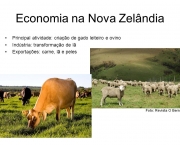Principal atividade: criação de gado leiteiro e ovino. Indústria: transformação de lã. Exportações: carne, lã e peles.