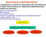 Sistemas de Organizações Econômicas Centralizadas e Descentralizadas (2)