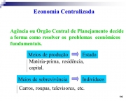 Sistemas de Organizações Econômicas Centralizadas e Descentralizadas (13)