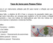 taxa-de-juros-no-brasil (14)
