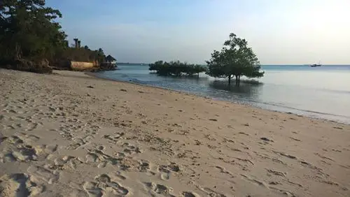 Zanzibar West 
