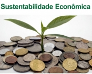 Os Vários Aspectos da Sustentabilidade Econômica (13)