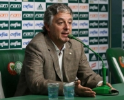 Dívida do Palmeiras e Desafios Financeiros 2013 (15)
