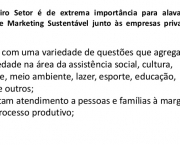 Empresas do Terceiro Setor no Brasil (8)