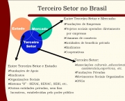 Empresas do Terceiro Setor no Brasil (15)