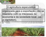 agricultura-especulativa-no-brasil (1)