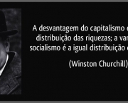 Capitalismo Selvagem no Brasil (15)