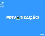 Casos de Privatização no Brasil (3)