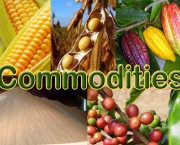 commodities-do-brasil (1)