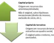 Concentração de Capitais e Dividendos no Brasil (13)
