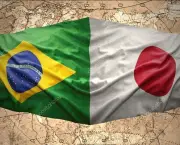Diferenças Econômicas entre Brasil e Japão (5)