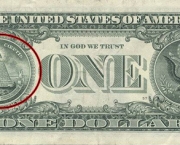 Dolar Americano (17)