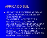 Economia da África do Sul (16)