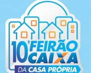 Feirão-da-caixa-2014-Campinas-02