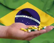 Indústria Farmacêutica no Brasil (14)