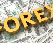 Investir em Forex Compensa (1)
