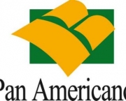 banco-panamericano-financiamento-de-veículos