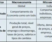 Saiba o que é Macro e Micro Economia (2)