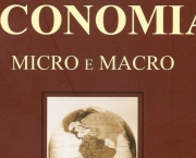 Saiba o que é Macro e Micro Economia (6)
