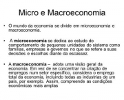 Saiba o que é Macro e Micro Economia (9)