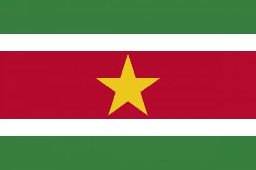 Bandeira do Suriname 