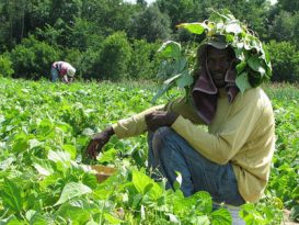 Economia da Jamaica