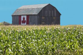 Agrícola do Canadá