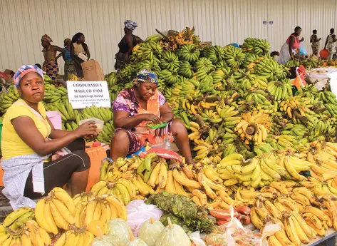 Economia de Guiné-Bissau: PIB, IDH e Negócios | Economia - Cultura Mix