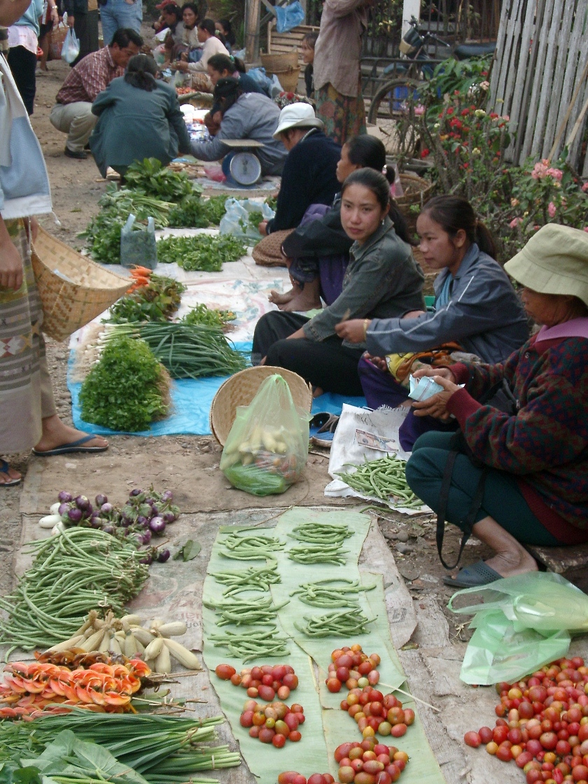 Economia Atual De Laos